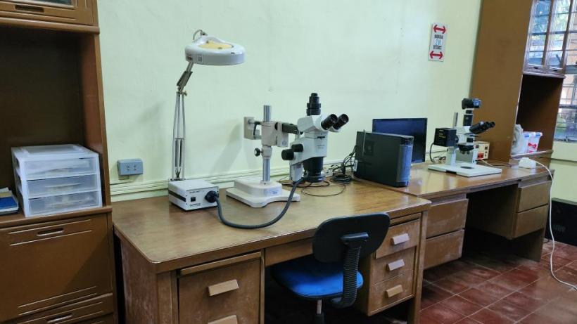 microscopes at the lithics laboratory